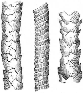 Eco Friendly and Sustainable Crochet Guide Image wool scales