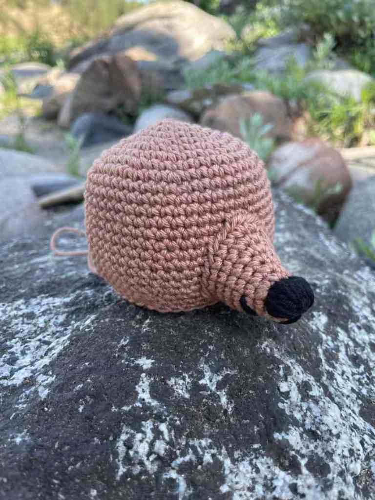 Teddy Bear Free Crochet Pattern Image 1