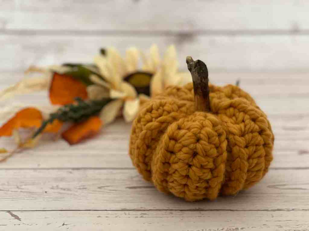 Autumn Pumpkin Trio Free Crochet Pattern Image Medium Pumpkin Side View