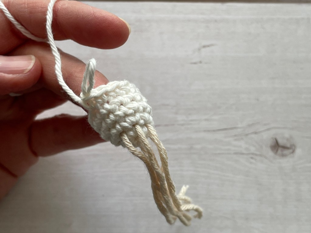 Scallion Crochet Pattern in-the-making Photo 1