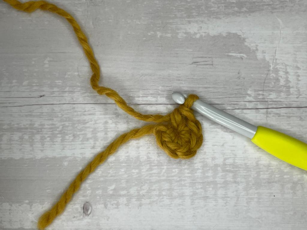 step by step photos illustrating how to make a magic circle crochet stitch