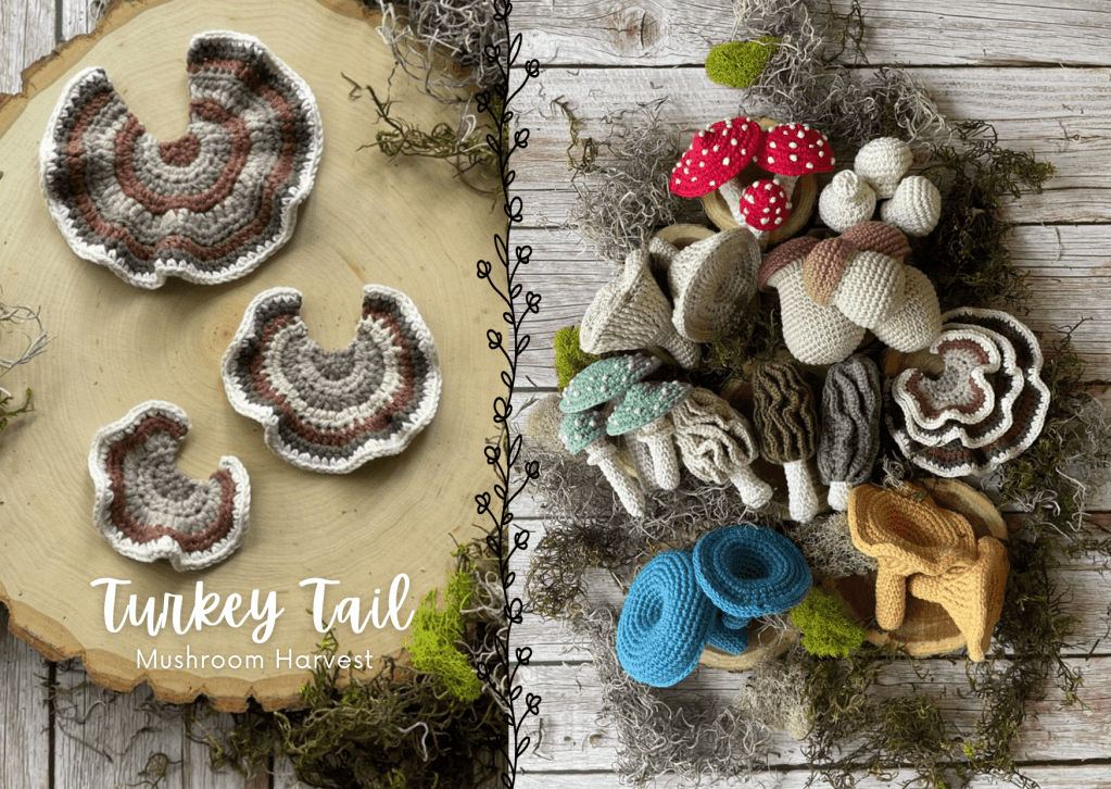 turkey tail mushroom as part of the mushroom crochet pattern bundle