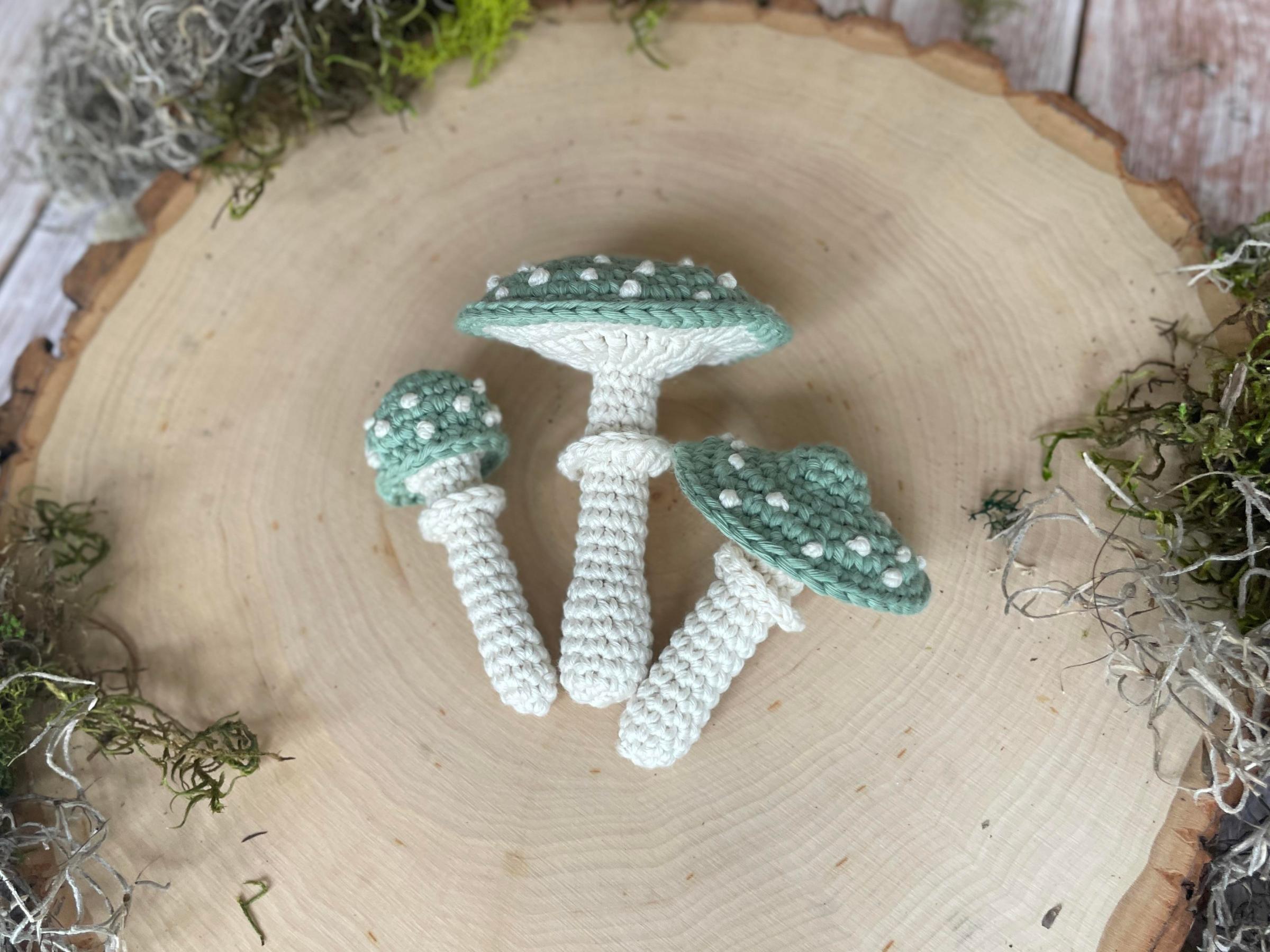 Verdigris Agaric Crochet Pattern: A Unique Pop of Color