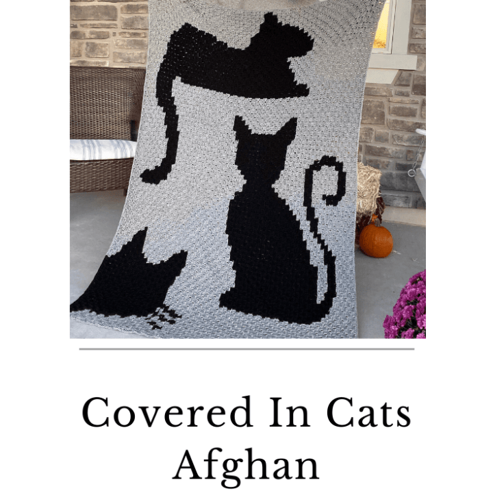 Covered in Cats Afghan crochet project — Rachel Misner / Evelyn and Peter Crochet